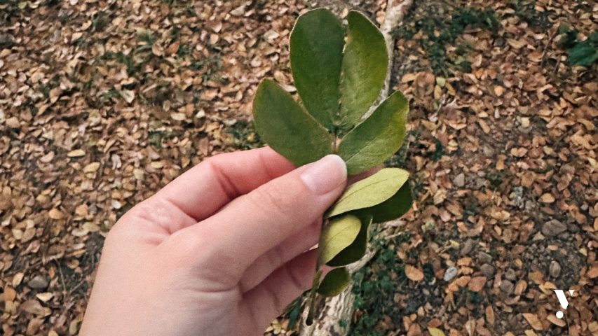 Yutopia內觀日記-寫在最後的 Day 10